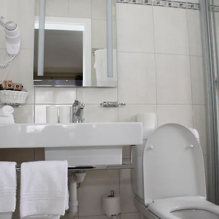 Grichting & Serviced 3* לויקרבאד